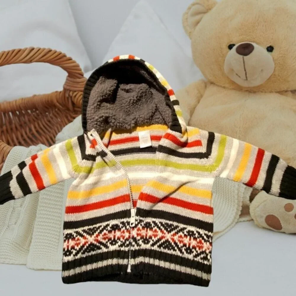 Gymboree Baby Hooded Sweater